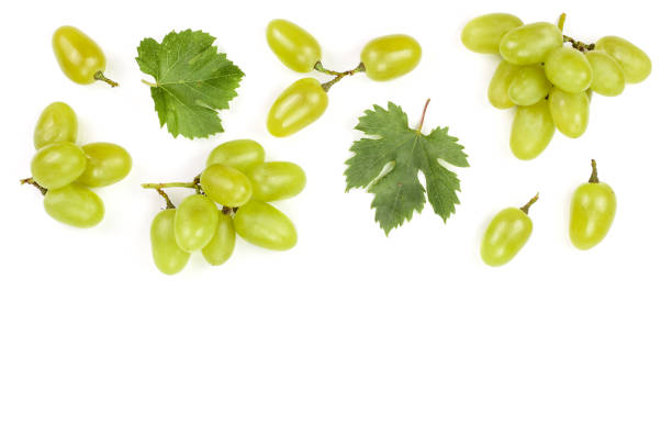 istock green grapes isolated on the white background with copy space for your text. Top view. Flat lay pattern 1092503926