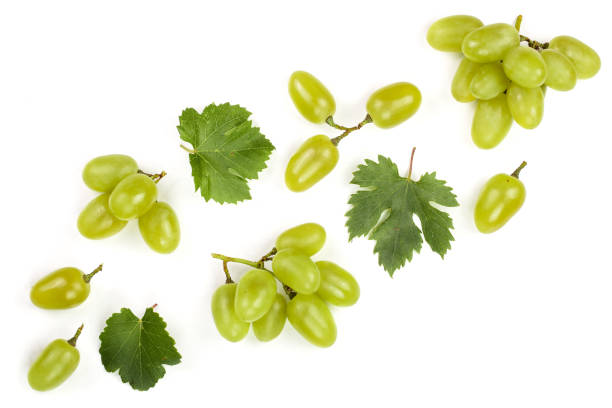 istock green grapes isolated on the white background with copy space for your text. Top view. Flat lay pattern 1092503980
