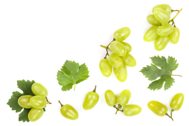 istock green grapes isolated on the white background with copy space for your text. Top view. Flat lay pattern 1092504044
