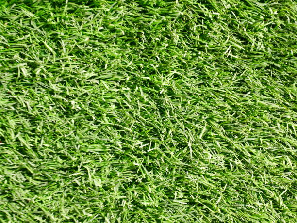 istock Green grass football pitch 1092533042