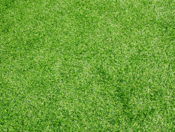 istock Green grass football pitch 1092533250
