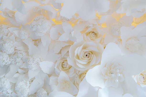 istock Paper flower, White roses cut from paper 1092535598