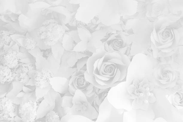 istock Paper flower, White roses cut from paper 1092535624