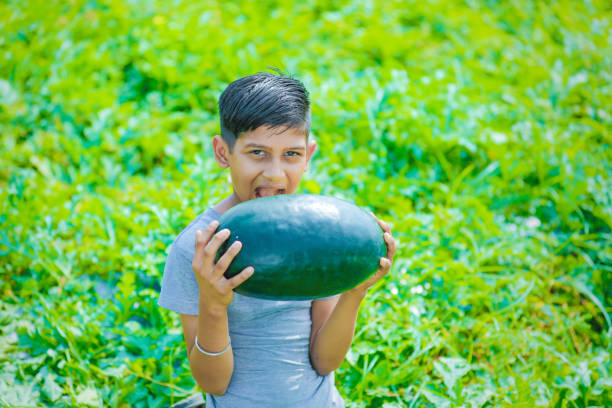 istock young indian farmer at watermelon field 1092538100