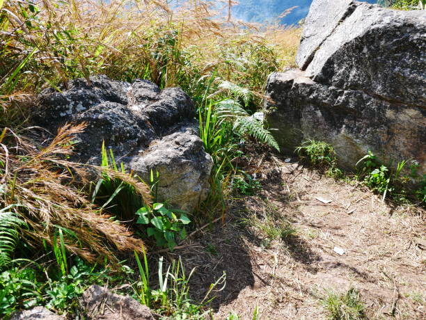 山の石 - canyon rock mountain cliff ストックフォトと画像