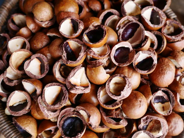 istock Closeup on dry cracked open peanut pod background 1092558270