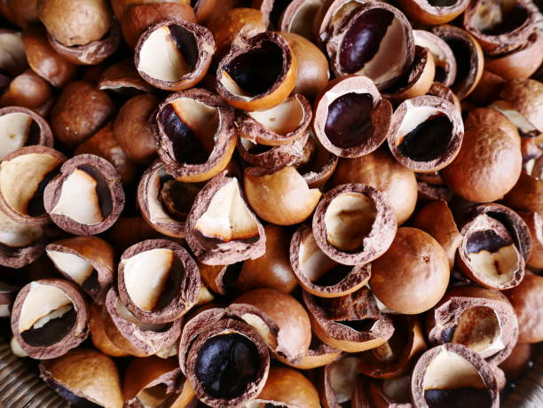 istock Closeup on dry cracked open peanut pod background 1092558286