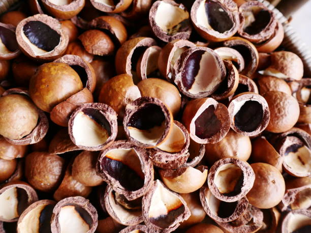 istock Closeup on dry cracked open peanut pod background 1092558436