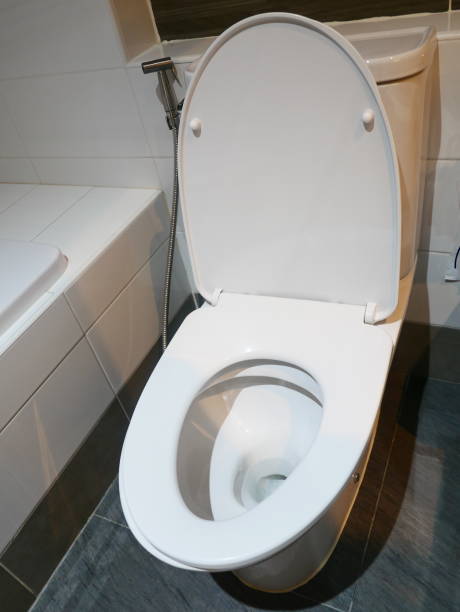 istock White bathroom toilet with the lid closed 1092558724