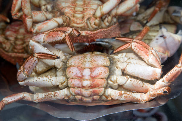 istock Closeup of Crab 1092559908