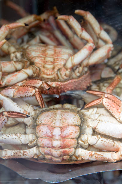 istock Closeup of Crab 1092559988