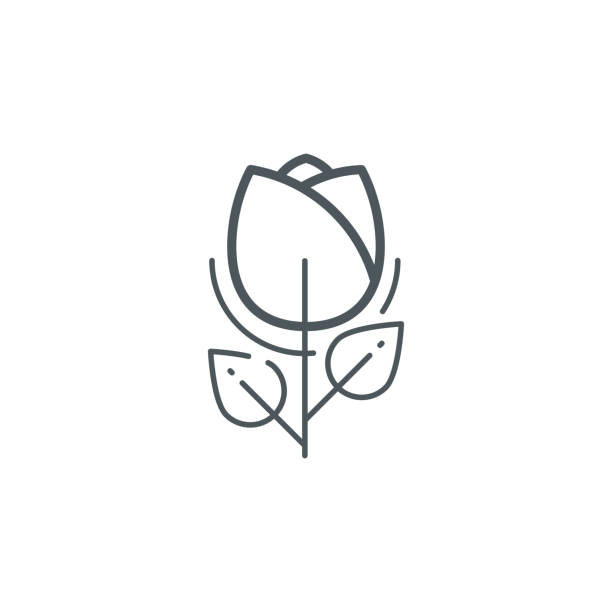 illustrazioni stock, clip art, cartoni animati e icone di tendenza di icona contorno fiore rosa - tulip sunflower single flower flower