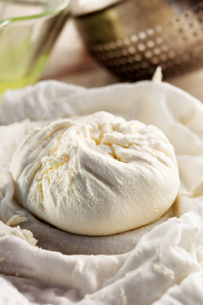 Homemade cheese in cheesecloth ,Fresh ricotta,whey cheese,Cheese Making,Process of making cheese