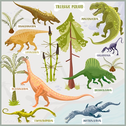 Triassic dinosaur, fauna and flora presented in vector drawn illustrations