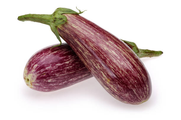 istock Purple Eggplant or Aubergine vegetable 1092576952