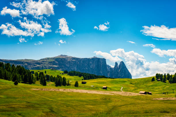 Alpe di Siusi with mountain Schlern