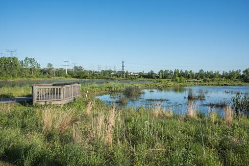 Scenic wetland observation point at Whalon Lake nature reserve in Bolingbrook, Illinois