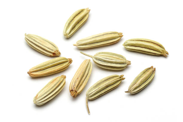dried fennel seeds on white background - ingredient fennel food dry imagens e fotografias de stock