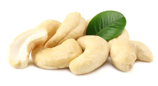 cashew with green leaves isolated on white background