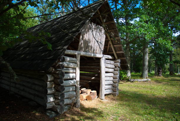 istock Historic old building in the forest 1092590768