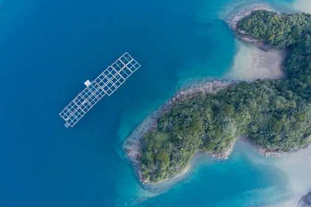 Photo of Beautiful sea and island. Aerial photography of a fish farm.