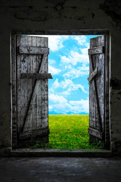 Exit to Green Meadow Open wood door in abandoned house. Green sunny meadow outside. barn doors stock pictures, royalty-free photos & images