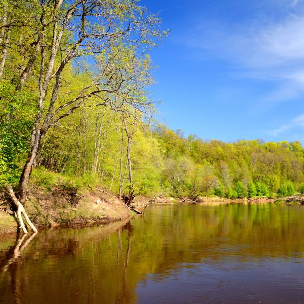 istock Gauja river in spring morning in Sigulda, Lativa 1092601846