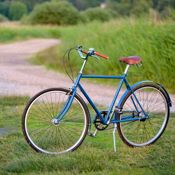istock Summer landscape. Bicycle on the road. Latvia 1092603714