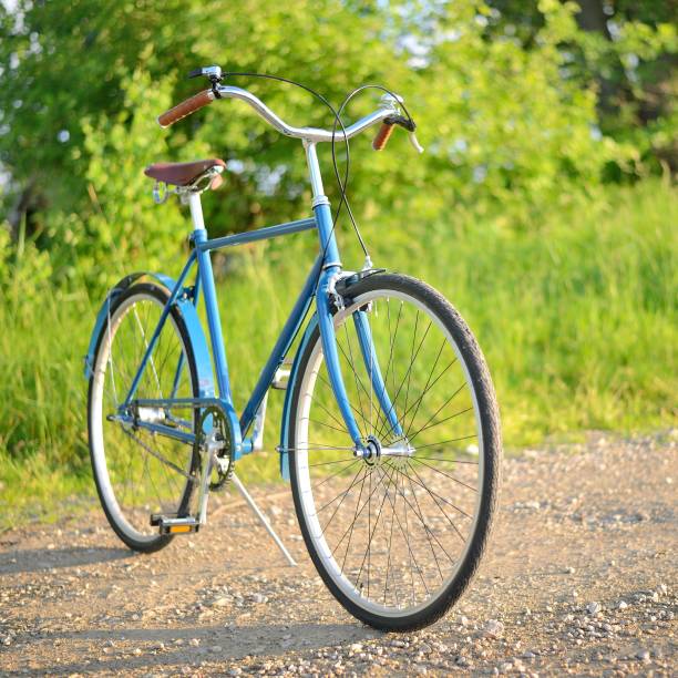 istock Summer landscape. Bicycle on the road. Latvia 1092603728