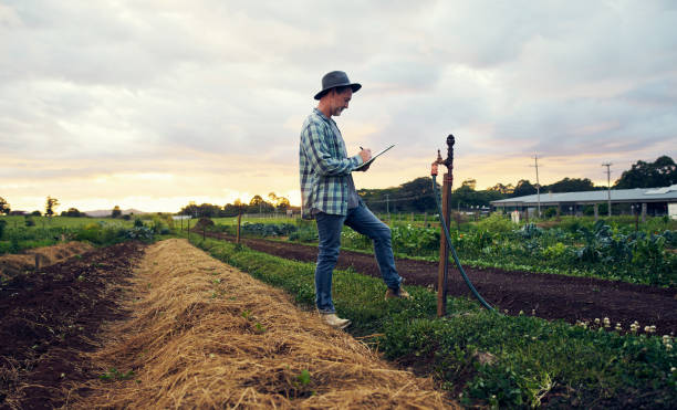 istock Making a note of the quality of his crops 1092607234