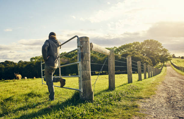 czuwanie nad jego sted - farm gate zdjęcia i obrazy z banku zdjęć