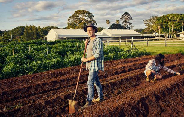 istock Preparing the ground for their crops to thrive 1092608016