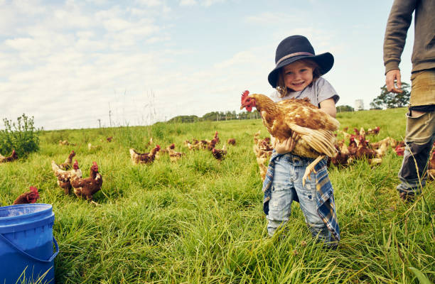 istock He's found a new friend to play with 1092608142