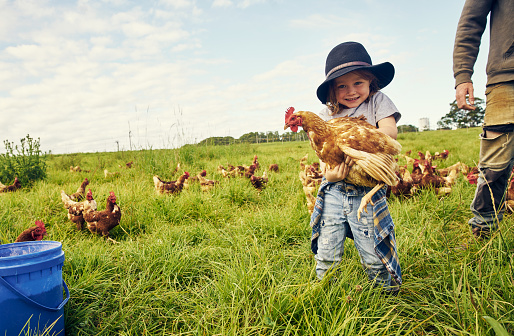 Portrait of an adorable little boy holding a chicken on a farm