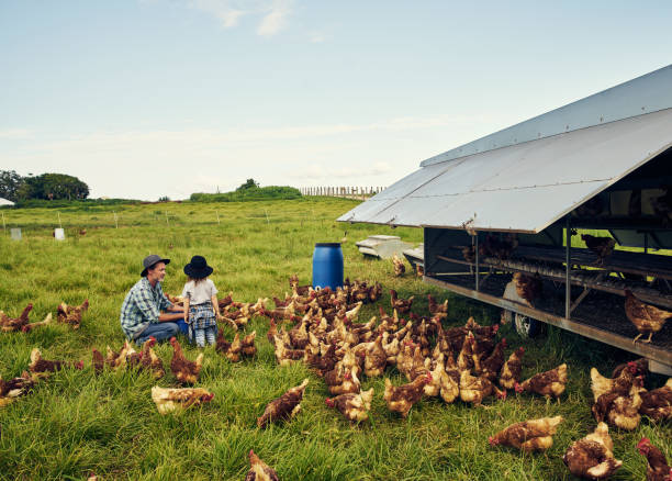 The farm will be yours when you grow up