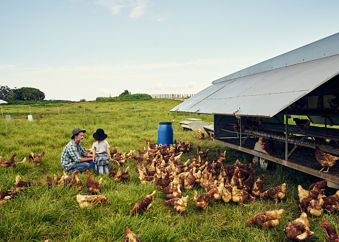 Shot of a father and his little son working on their chicken farm