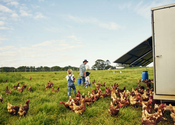 istock Let's go feed the rest of the animals 1092610826