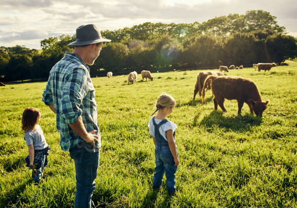 They love watching all the animals graze Shot of a father and his two little children watching over cattle on a farm dairy farm photos stock pictures, royalty-free photos & images