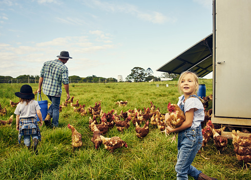 Shot of a little girl holding a chicken while with her family on a farm