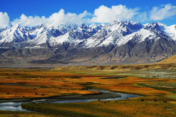 Landscape view, autumn grassland for yak feed with stream and beautiful snowy mountain range background at Xinjiang, China stock photo