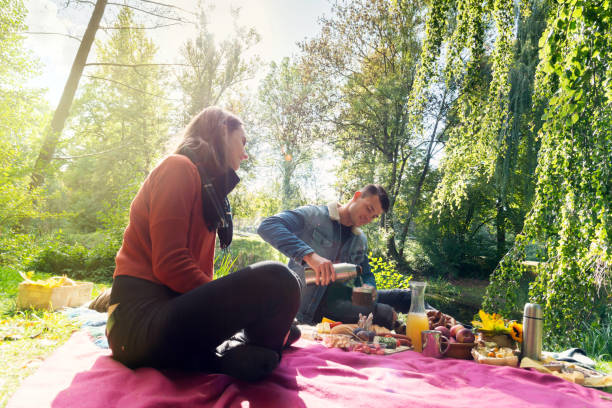 istock Young couple making picnic in the park 1092619482