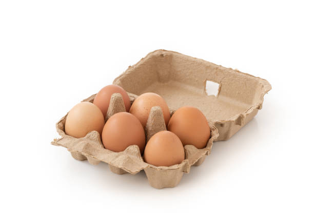 istock Fresh brown eggs in carton on isolated 1092620320
