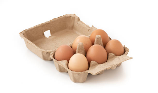 istock Fresh brown eggs in carton on isolated 1092620350