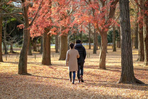 istock Couple walking in Autumn park 1092620432