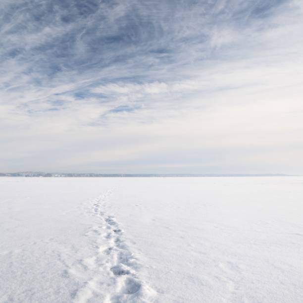 istock ice desert winter landscape 1092623244