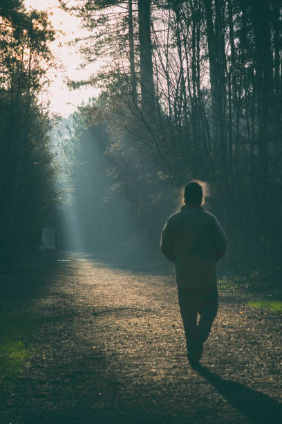istock A Walk In The Woods 1092623560