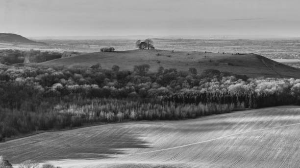 January View From Coombe Hill, Buckinghamshire