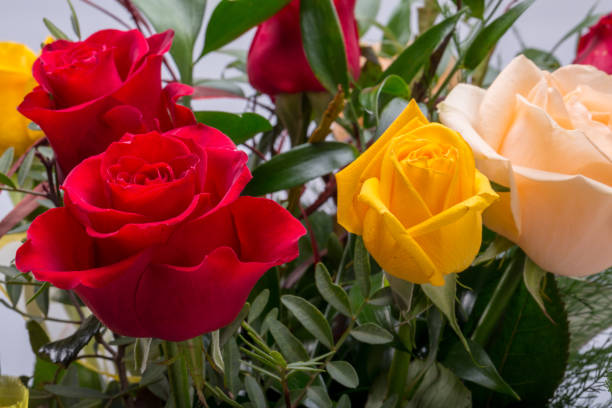 istock Bouquet of assorted multicolored roses isolated on white background 1092627526