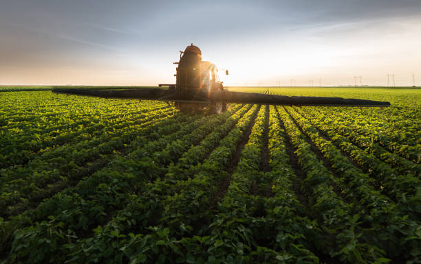 istock Tractor spraying pesticides at  soy bean fields 1092630766