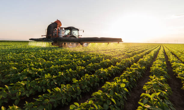istock Tractor spraying pesticides at  soy bean fields 1092630792